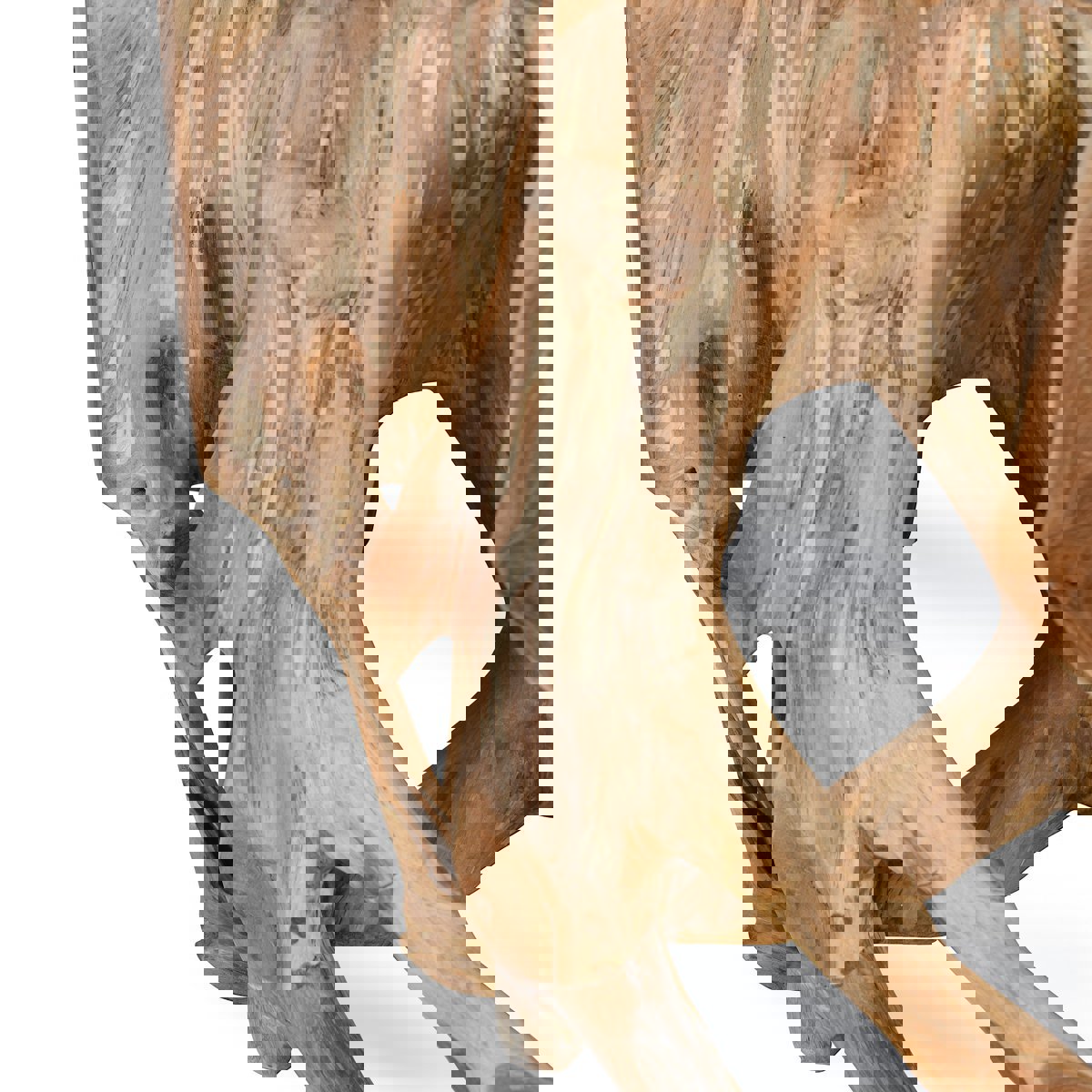 Cypress Root Coffee Table - Chapin Furniture