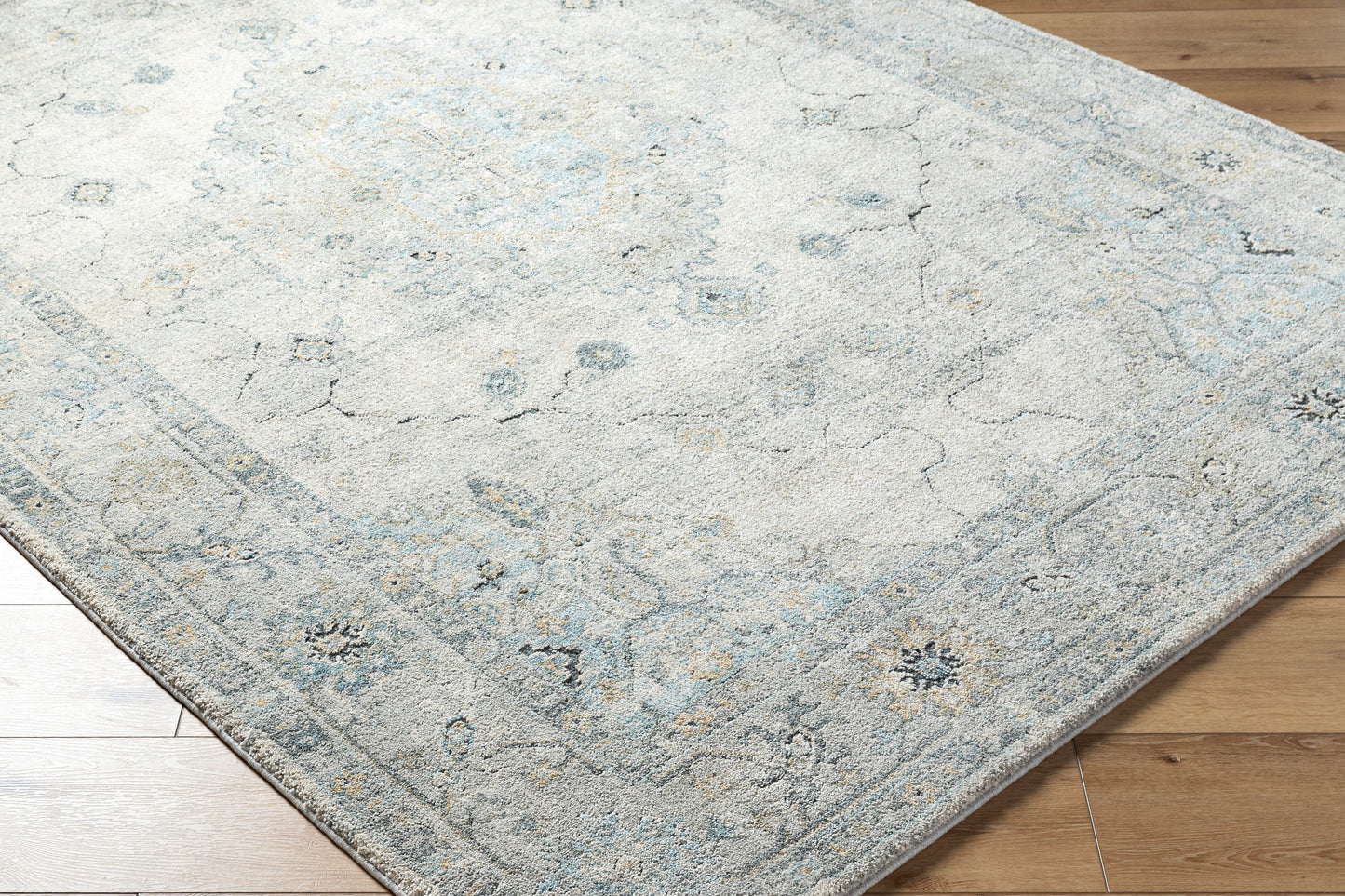 Avellino AVL-2314 Rug- Beige, Blue, Gray - Chapin Furniture