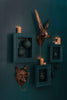 E + E Wall Mount | Beatrice the Bear in Antique Gold - Chapin Furniture