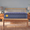 Sealy Golden Elegance Remmington Euro Pillow Top Mattress - Chapin Furniture