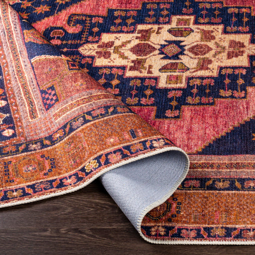 Amelie Rug-2347 - Chapin Furniture