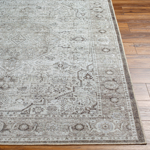 Amelie Rug-2368 - Chapin Furniture