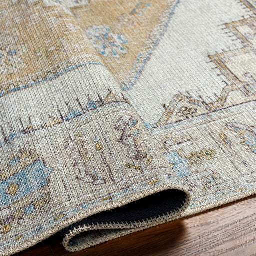 Amelie Rug-2369 - Chapin Furniture
