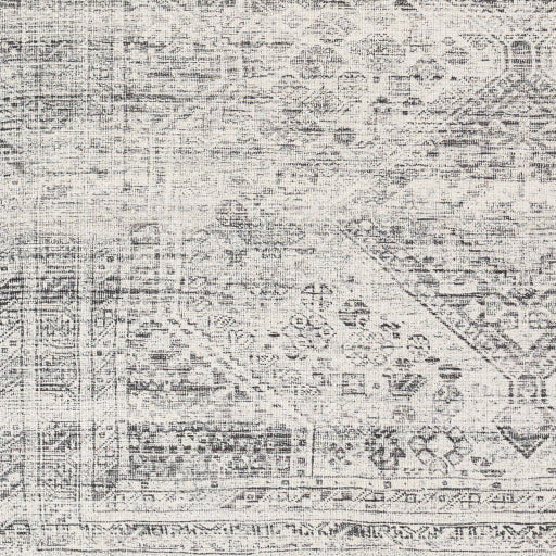 Amelie Rug-2381 - Chapin Furniture