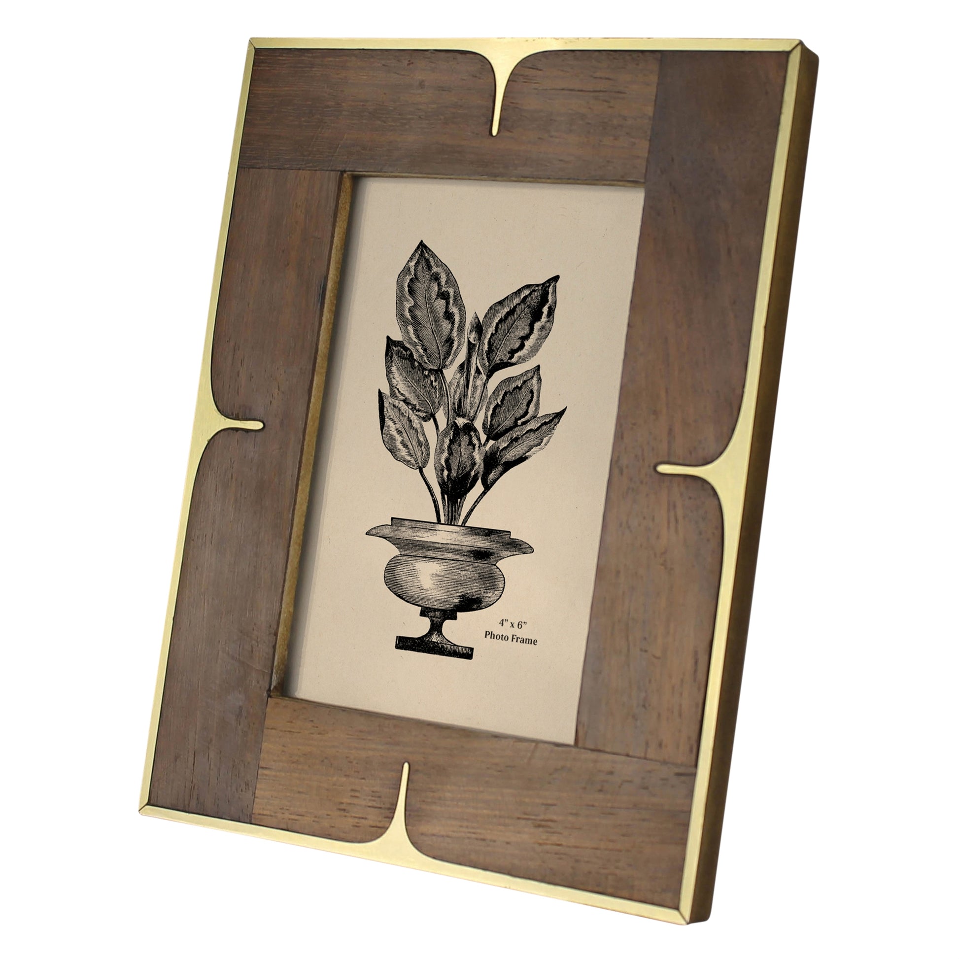 4x6 Picture Frame - Wood and Brass - Chapin Furniture