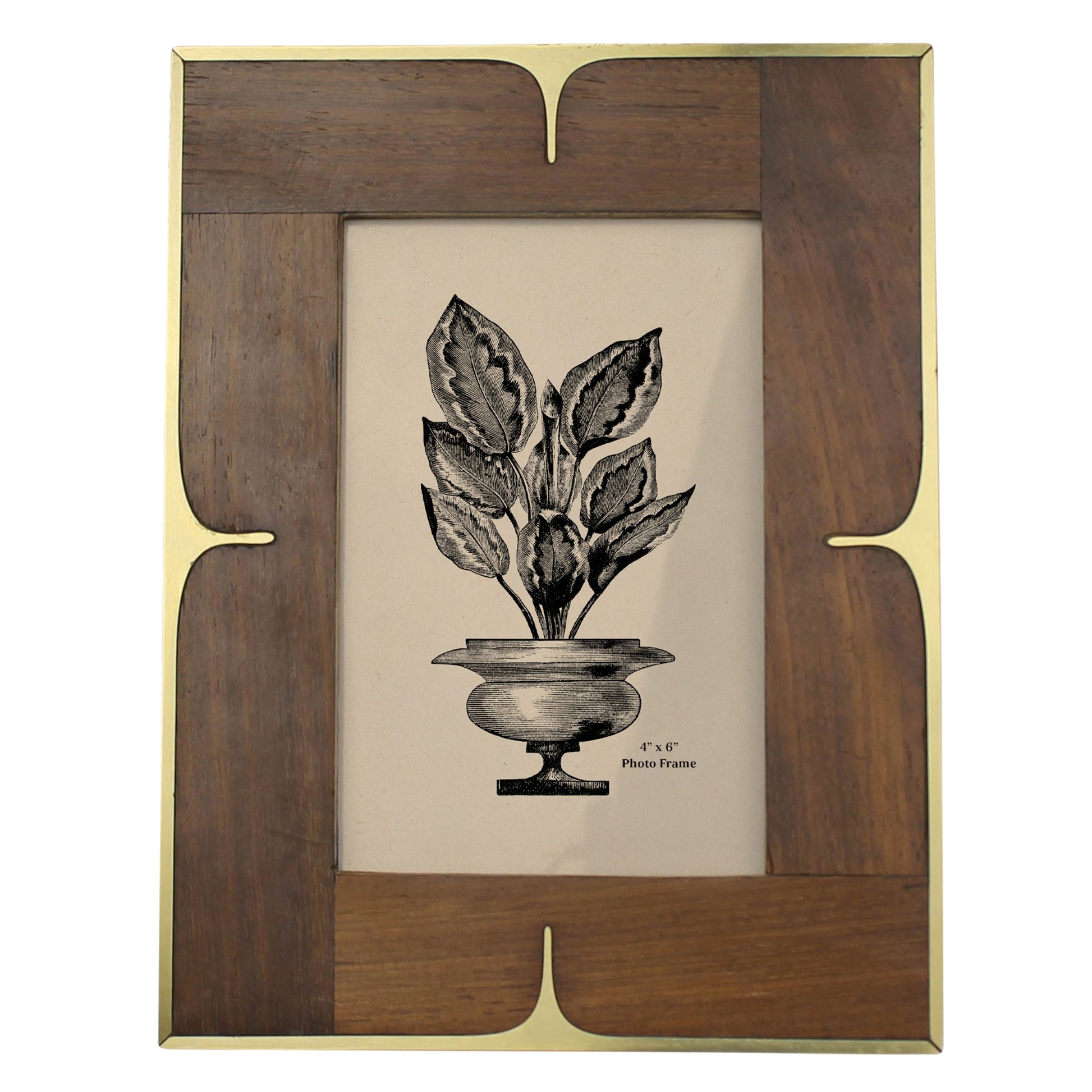 4x6 Picture Frame - Wood and Brass - Chapin Furniture