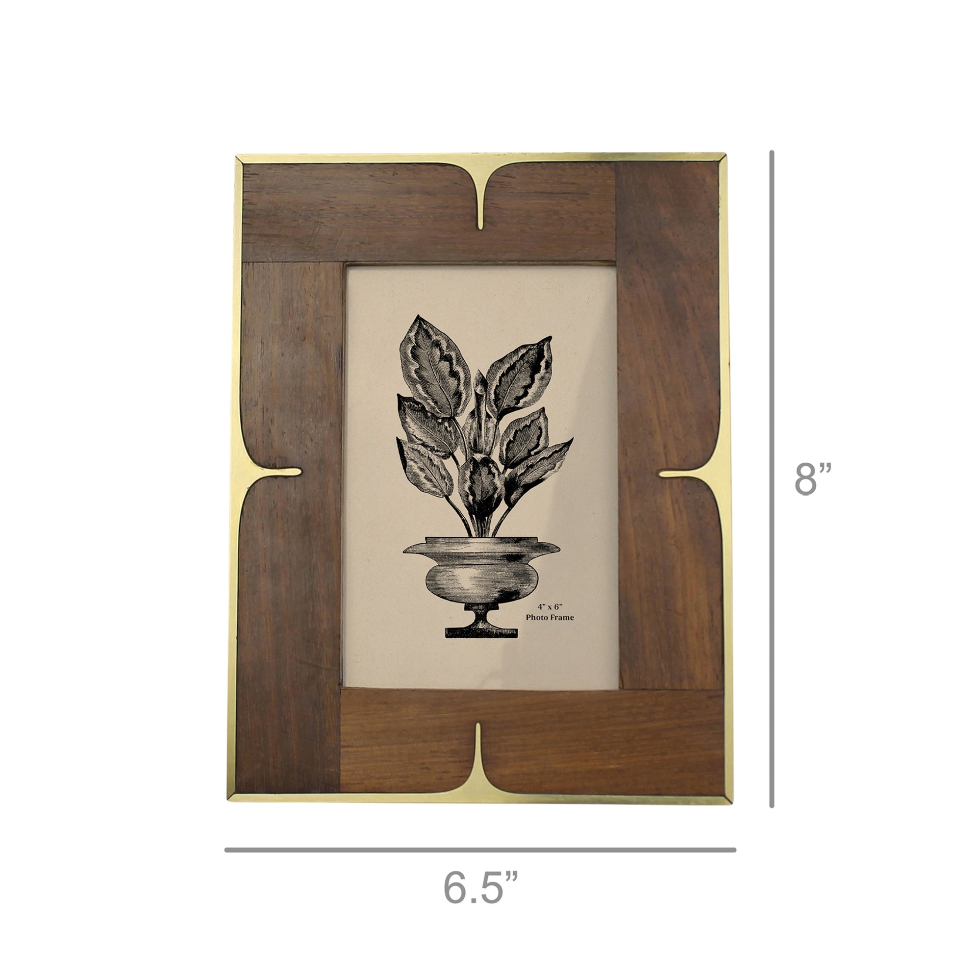 4x6 Picture Frame - Wood and Brass - Chapin Furniture