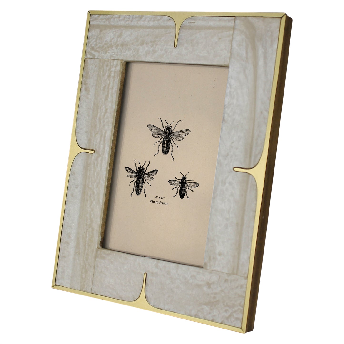 4x6 Picture Frame - Mop Resin and Brass - Chapin Furniture