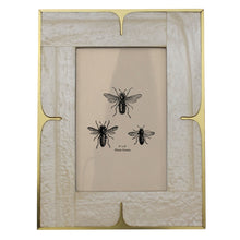 4x6 Picture Frame - Mop Resin and Brass - Chapin Furniture
