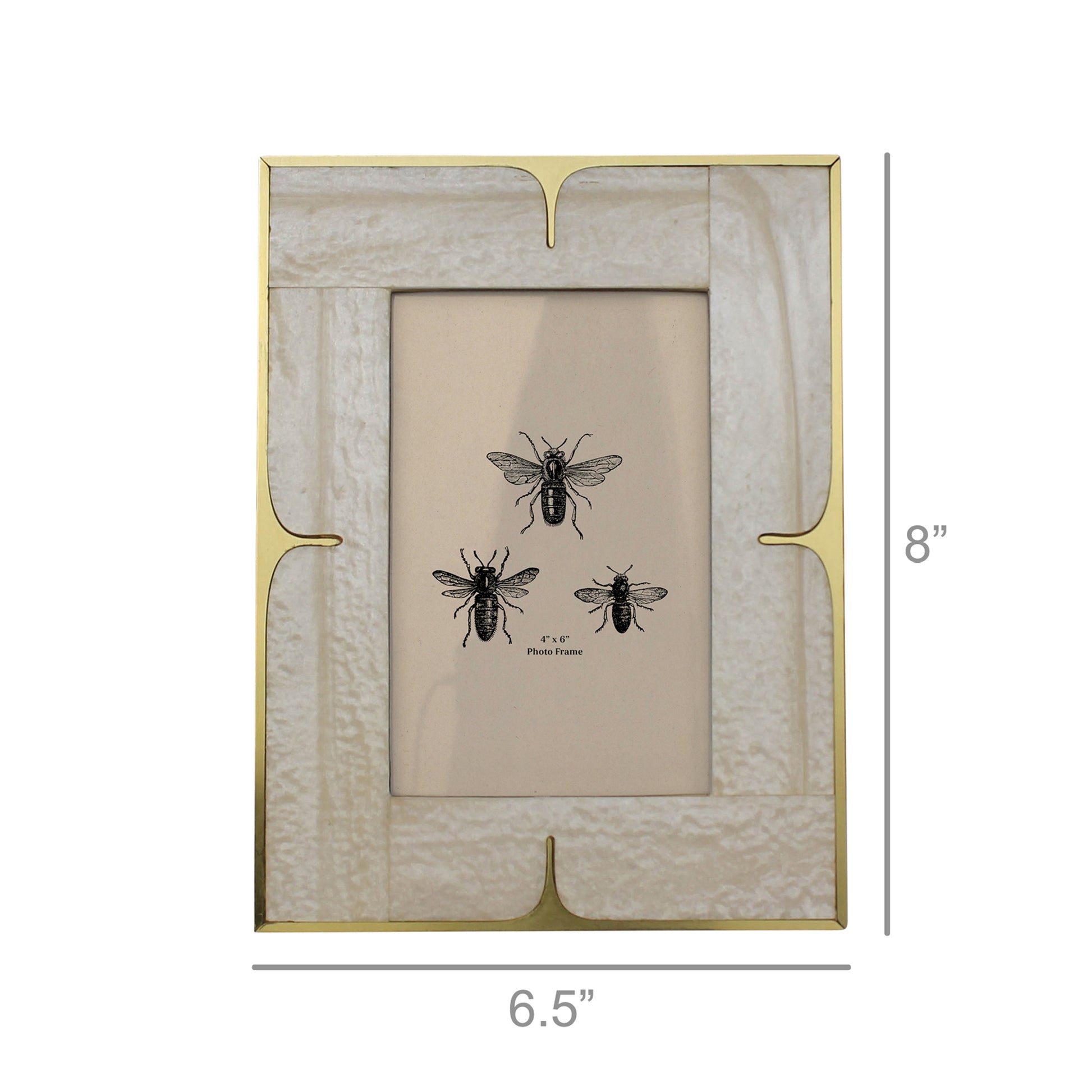 4x6 Picture Frame - Mop Resin and Brass - Chapin Furniture