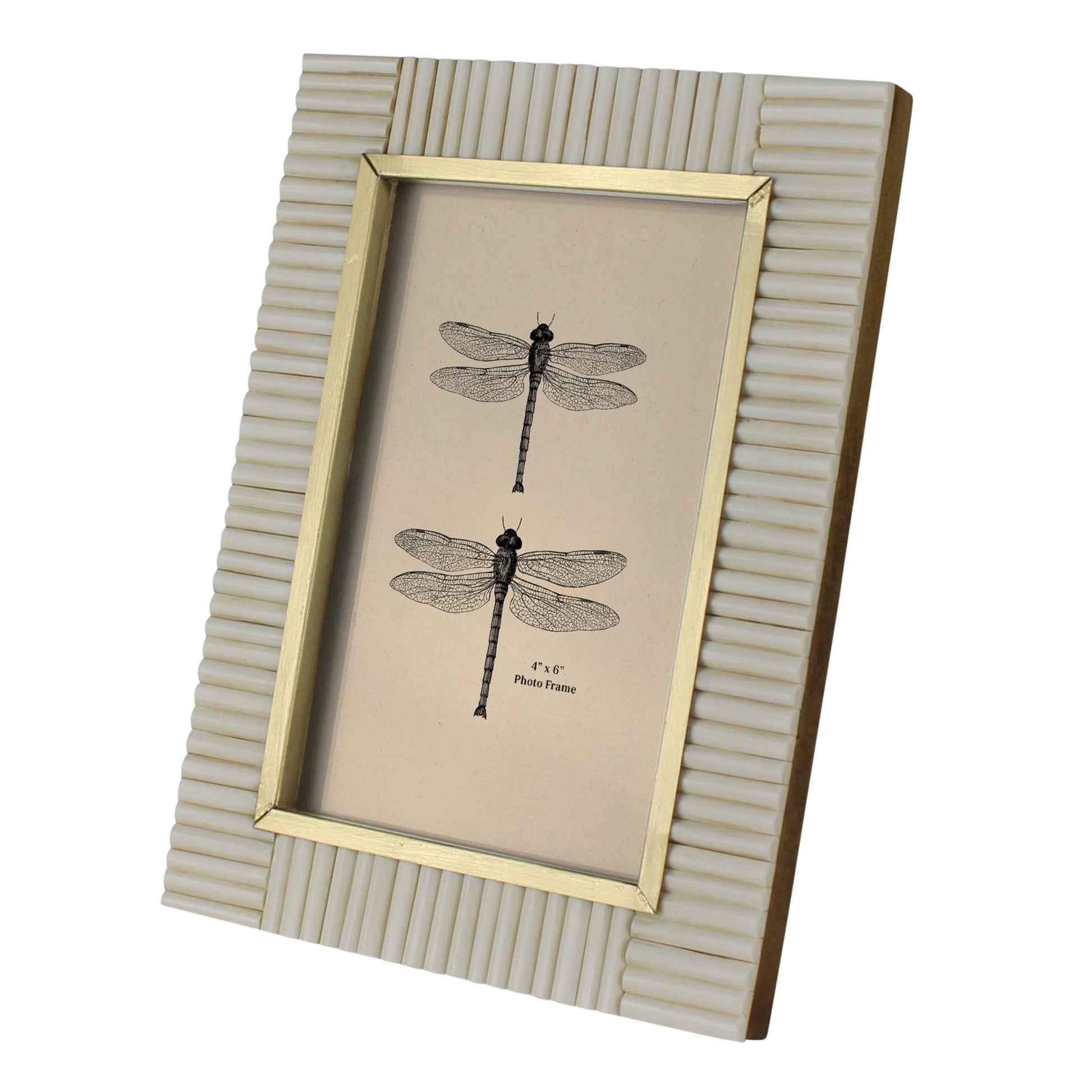 4x6 Picture Frame - Resin and Brass - Chapin Furniture