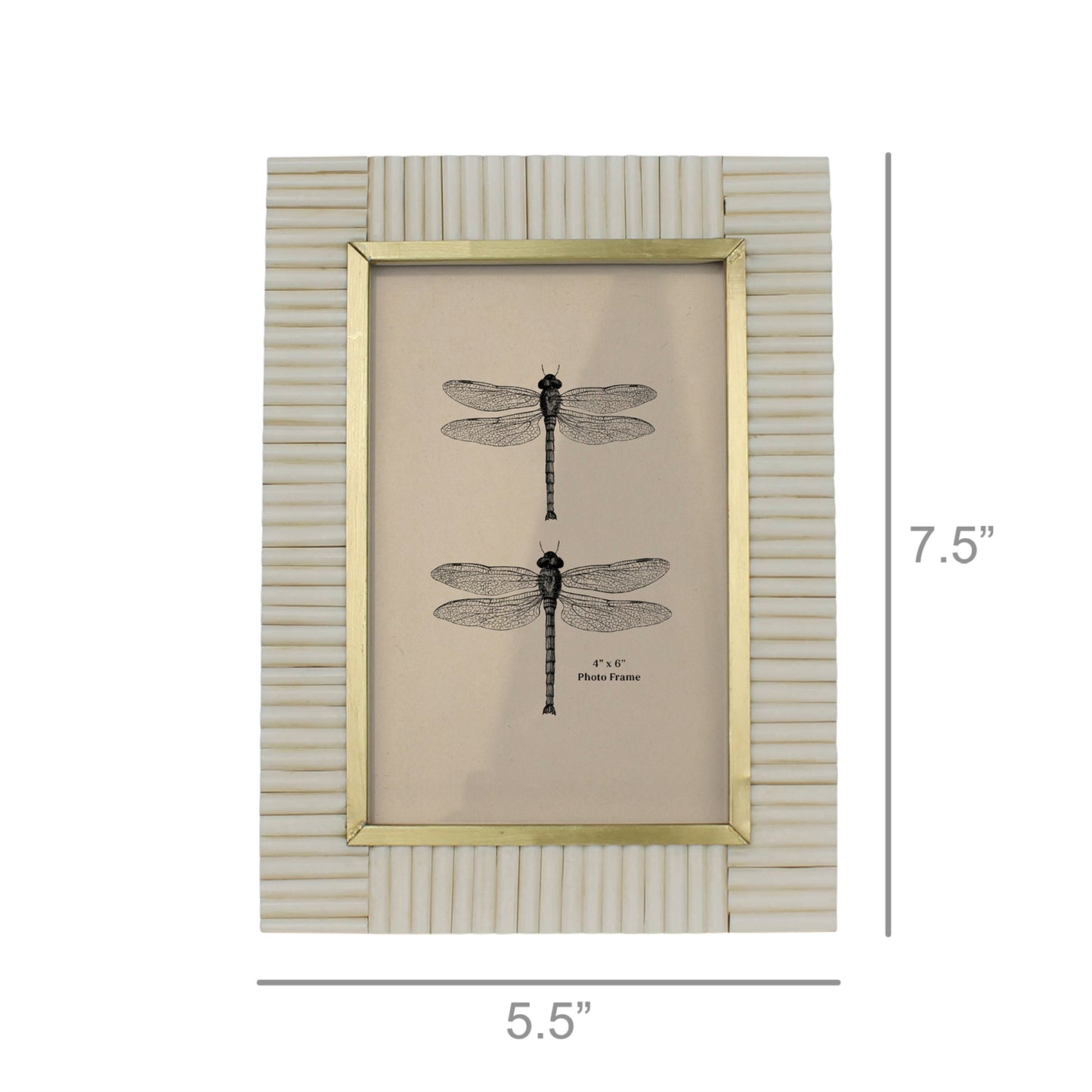 4x6 Picture Frame - Resin and Brass - Chapin Furniture