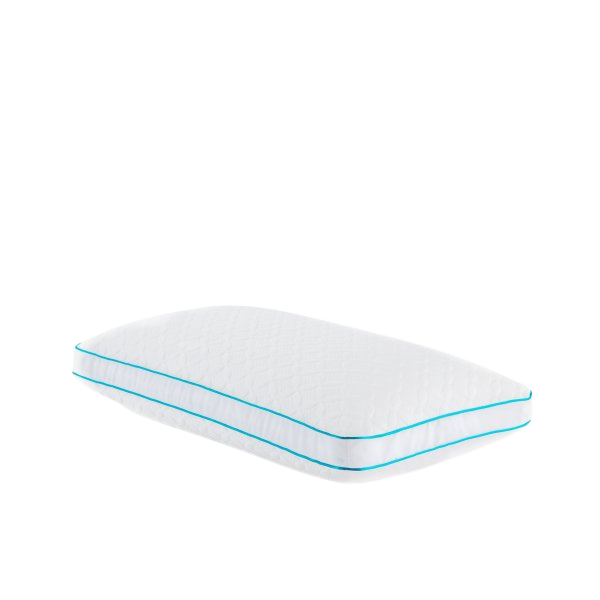 Flexfill + Hyperchill Pillow - Chapin Furniture