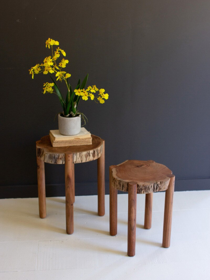 Set of 2 Acacia Wood Live Edge Accent Tables - Chapin Furniture