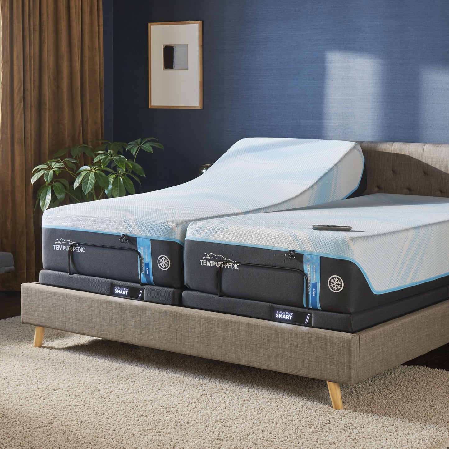 Tempur-Pedic TEMPUR-Ergo® Smart Base - Chapin Furniture