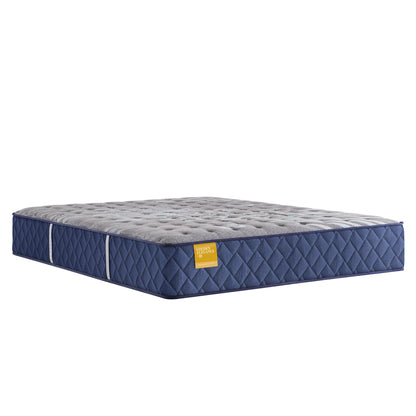 Sealy Golden Elegance Bridgerton Tight Top Soft Mattress - Chapin Furniture
