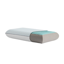 Bamboo Charcoal Pillow + Cooling Cover - Chapin Furniture