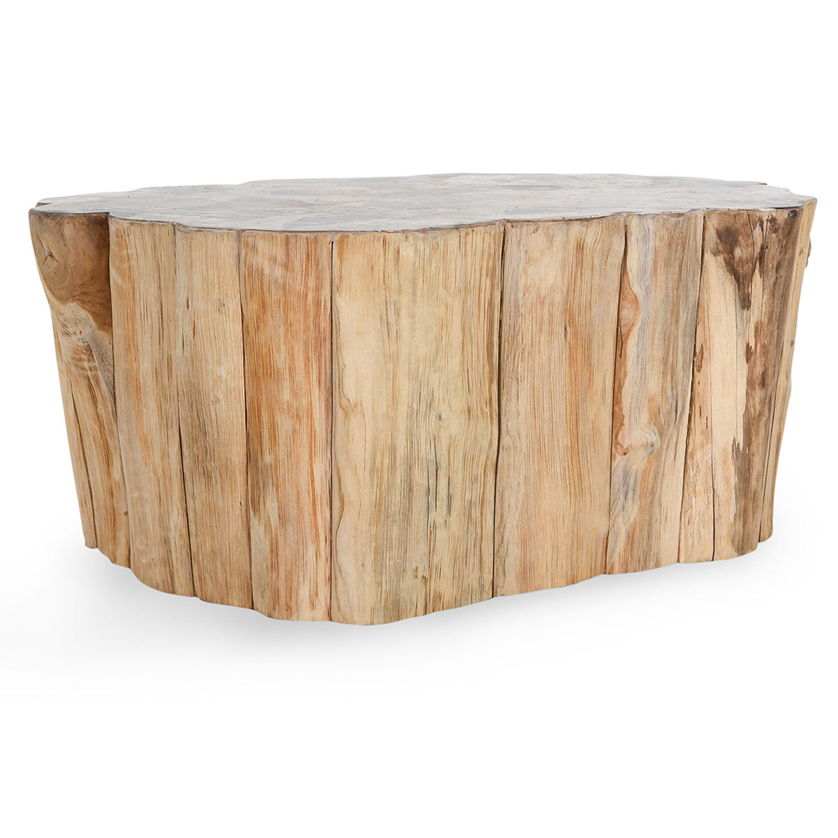 Norwest Petrified Wood Coffee Table