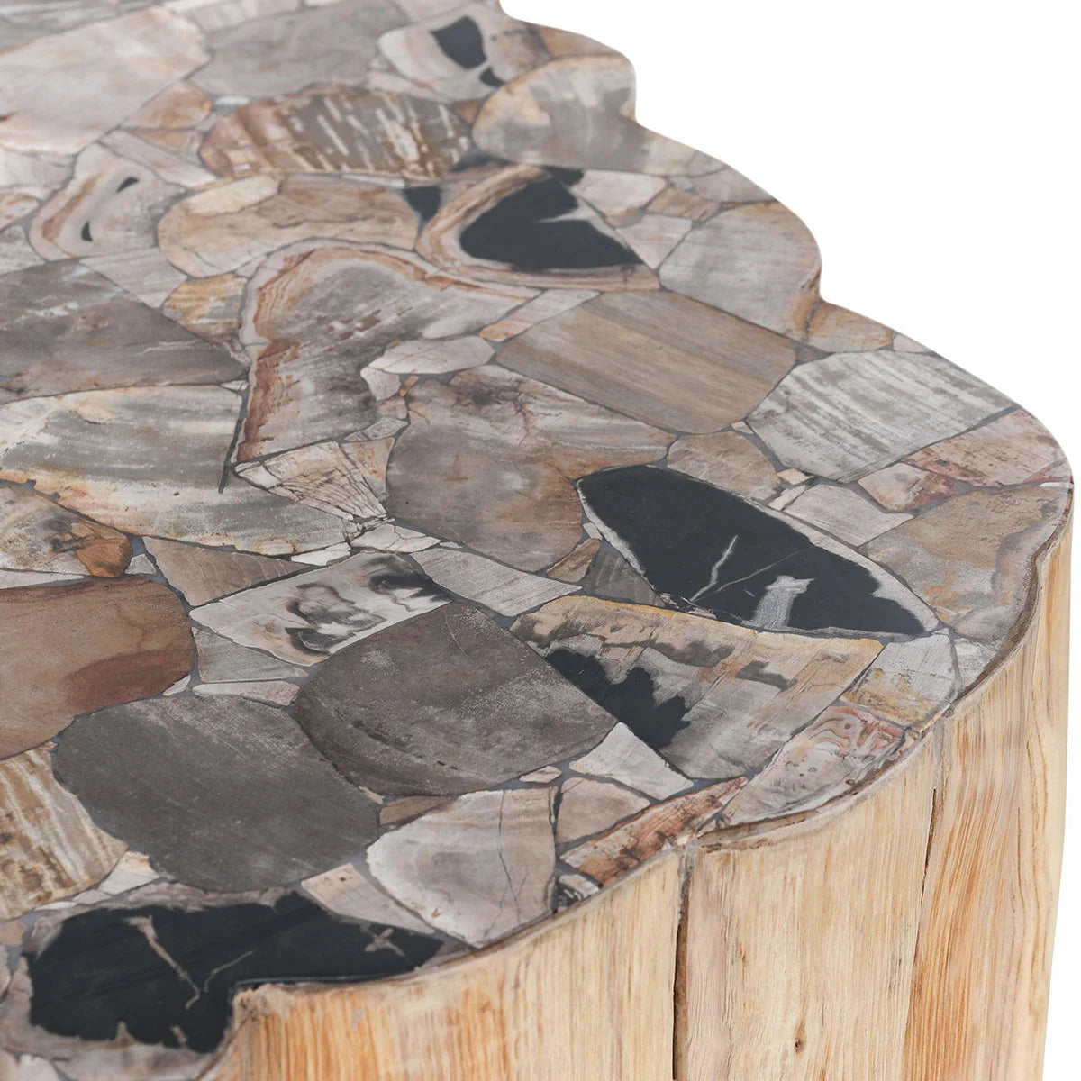 Norwest Petrified Wood Coffee Table - Chapin Furniture