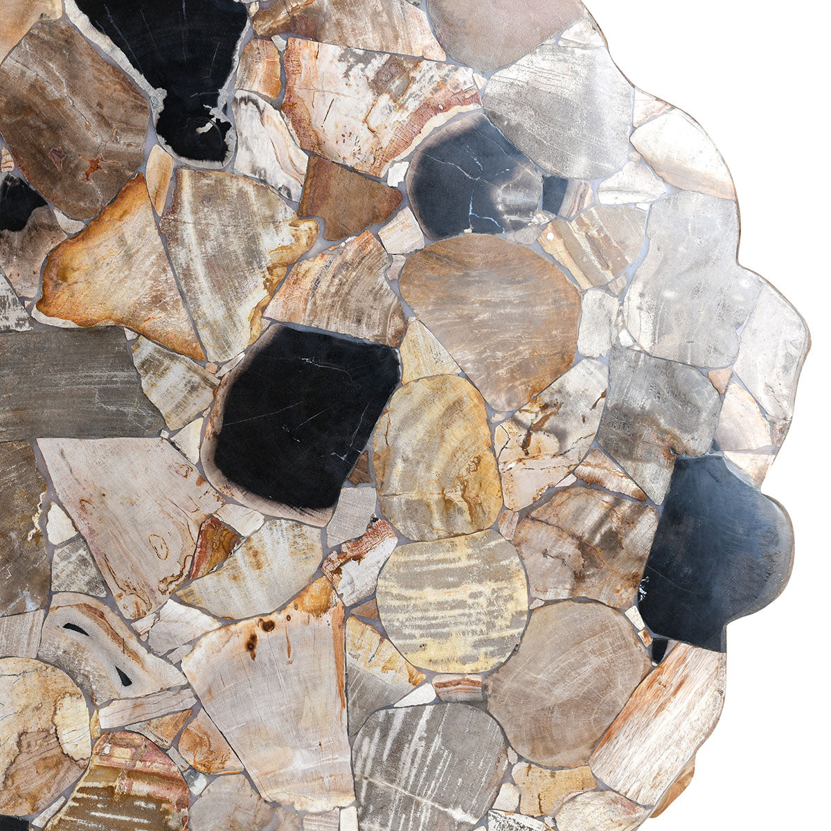 Norwest Petrified Wood Coffee Table - Chapin Furniture