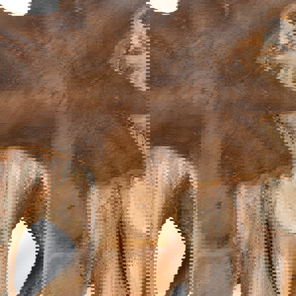 Cypress Root Coffee Table - Chapin Furniture