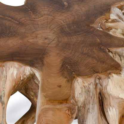 Cypress Root Coffee Table - Chapin Furniture