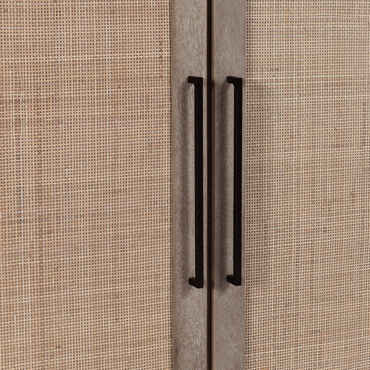 Jensen Mango 4 Door Cabinet - Chapin Furniture