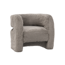 Teddy Plush Accent Chair - Granite - Chapin Furniture