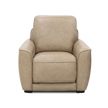 Blake Recliner - Chapin Furniture