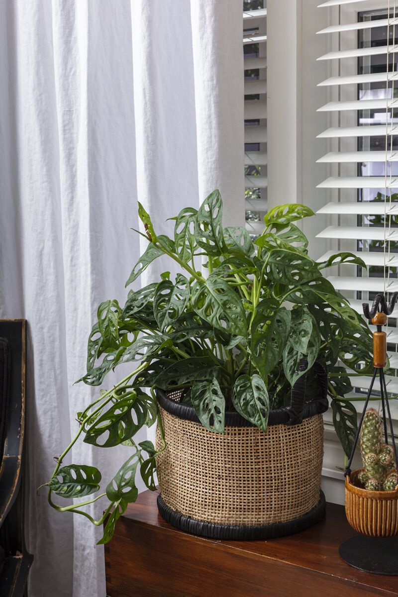 Maple Basket- Set of 2, Black - Chapin Furniture