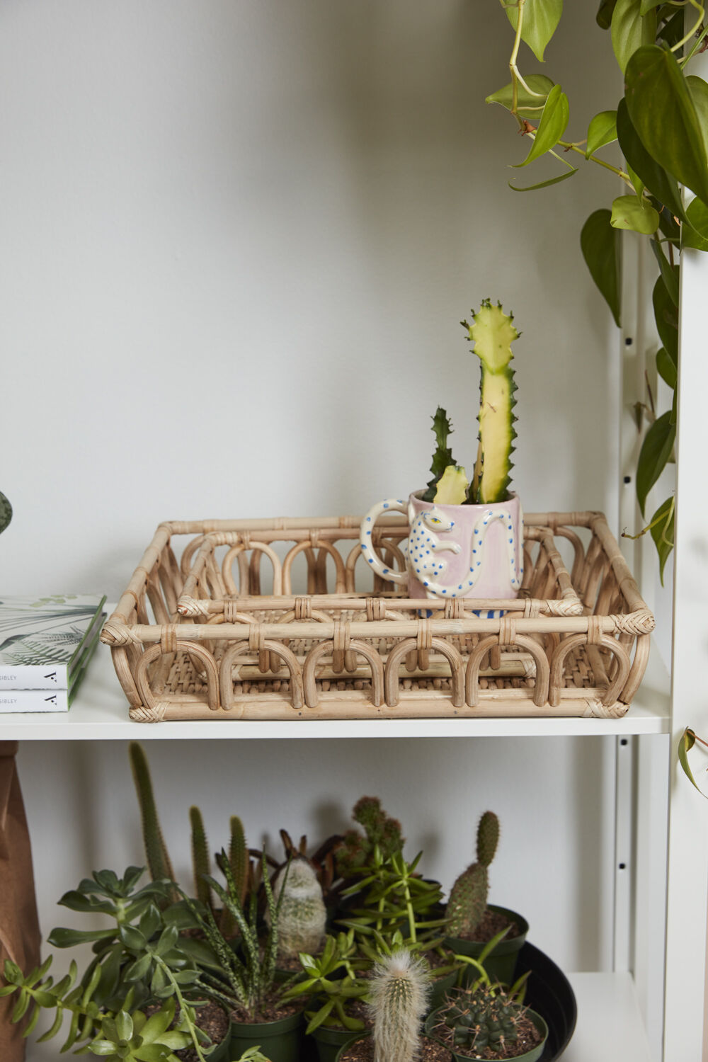 Chapin Furniture Grazia Tray - Thumbnail 4