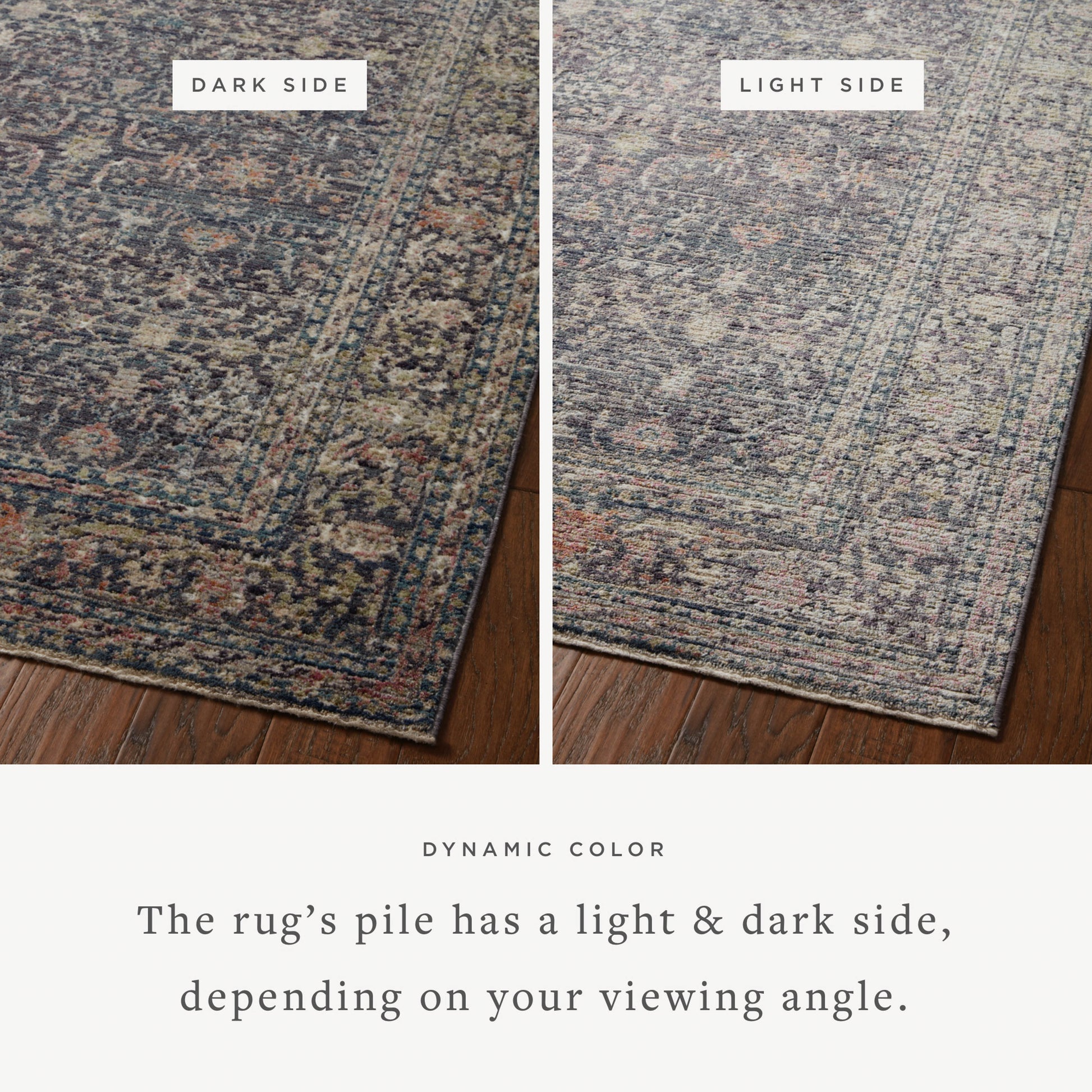 Jean Stoffer Bradbury 01 Rug- Midnight/Multi - Chapin Furniture