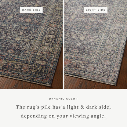 Jean Stoffer Bradbury 01 Rug- Midnight/Multi - Chapin Furniture