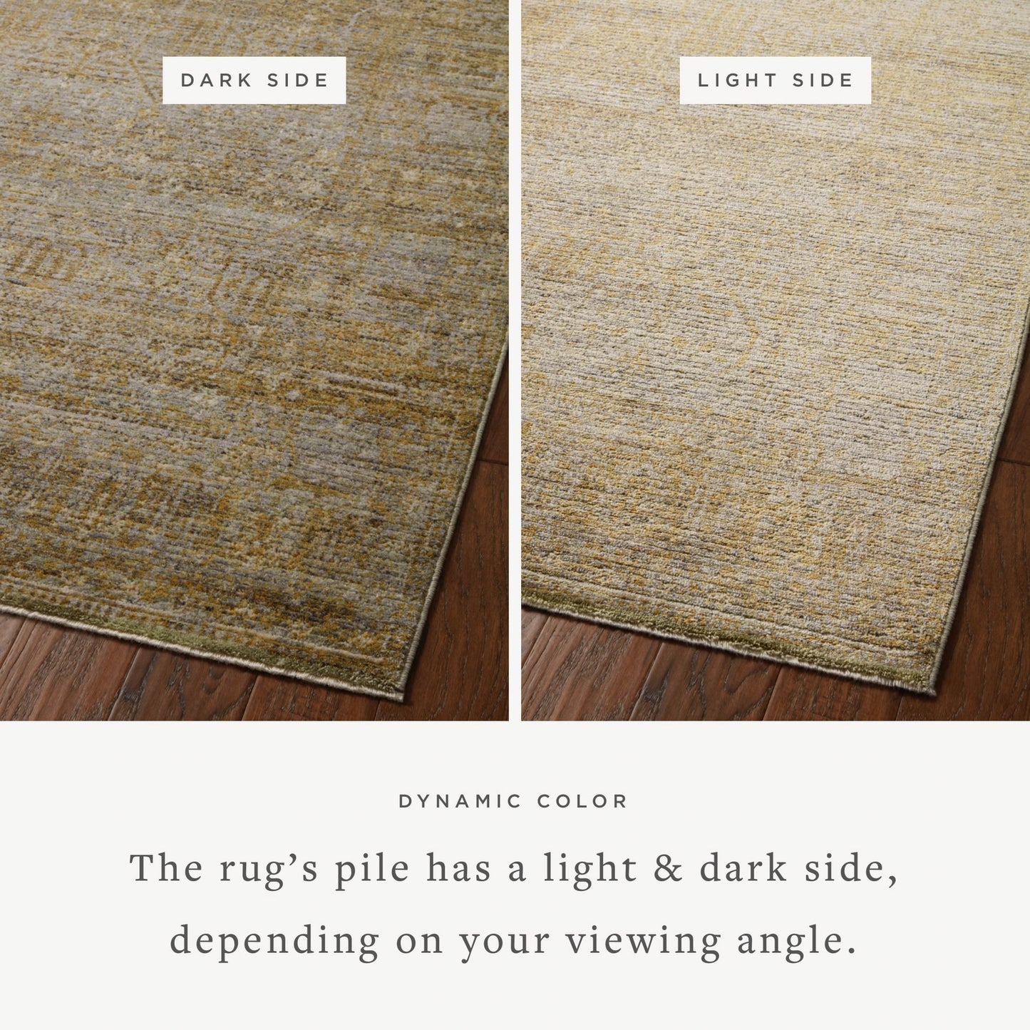 Jean Stoffer Bradbury 02 Rug- Dove/Gold - Chapin Furniture