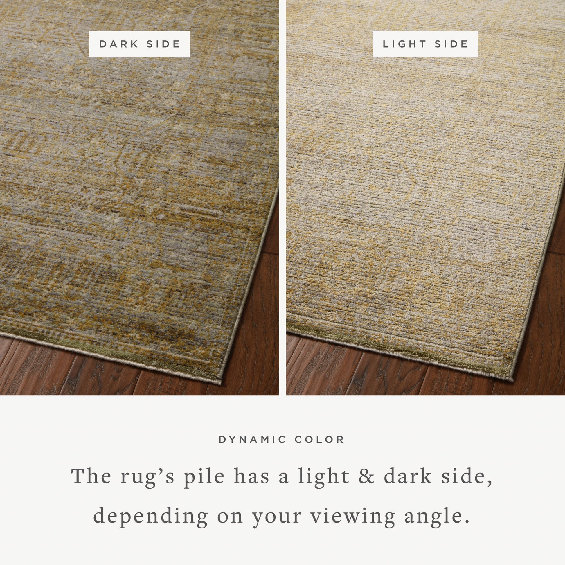 Jean Stoffer Bradbury 02 Rug- Dove/Gold - Chapin Furniture