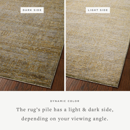 Jean Stoffer Bradbury 02 Rug- Dove/Gold - Chapin Furniture