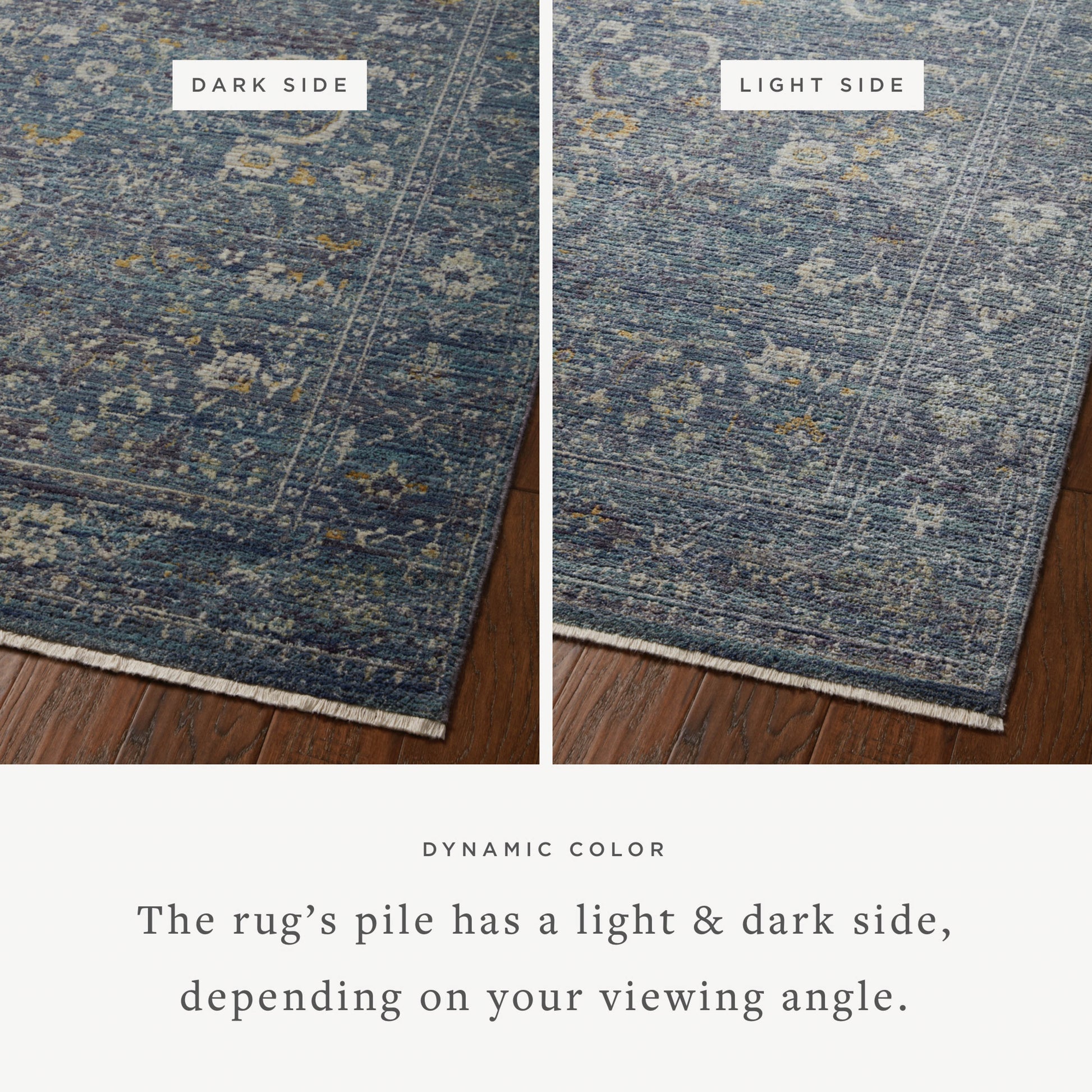 Jean Stoffer Bradbury 03 Rug- Ocean/Gold - Chapin Furniture