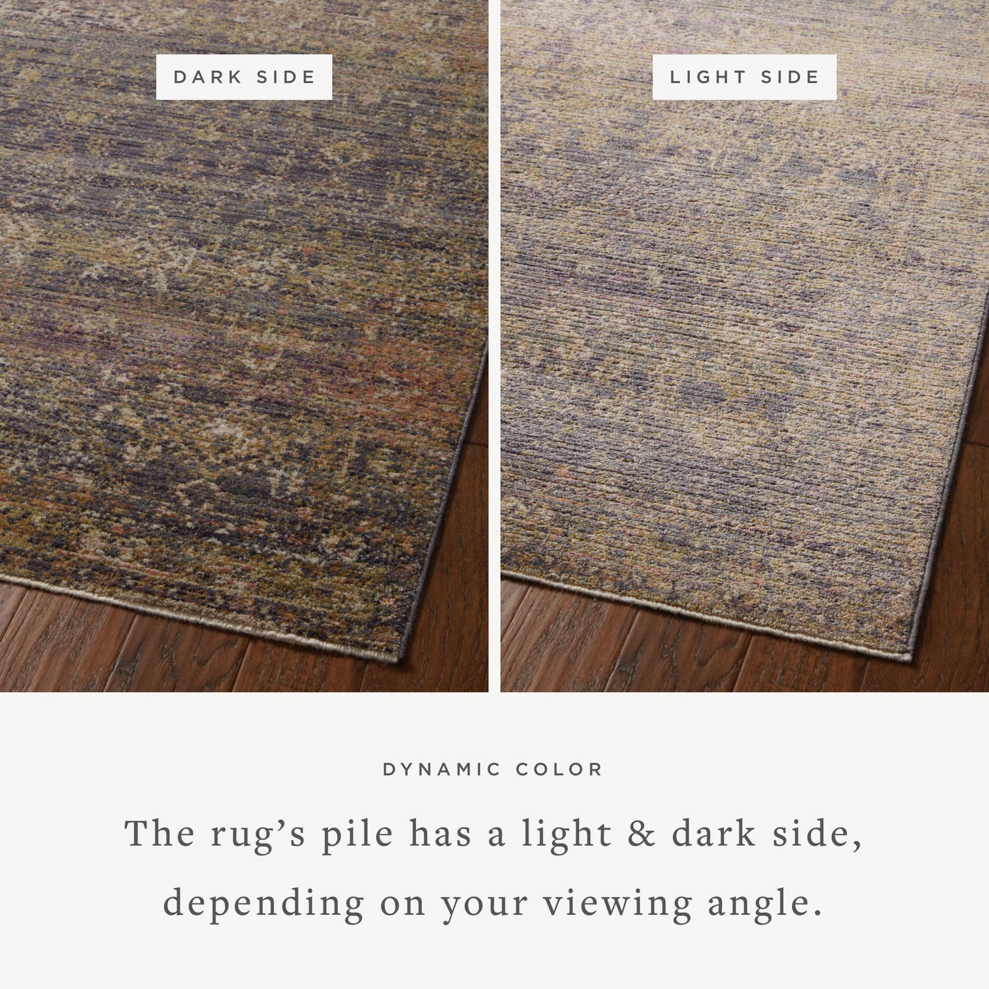 Jean Stoffer Bradbury 05 Rug- Ink/Multi - Chapin Furniture