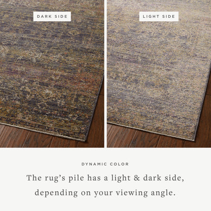 Jean Stoffer Bradbury 05 Rug- Ink/Multi - Chapin Furniture