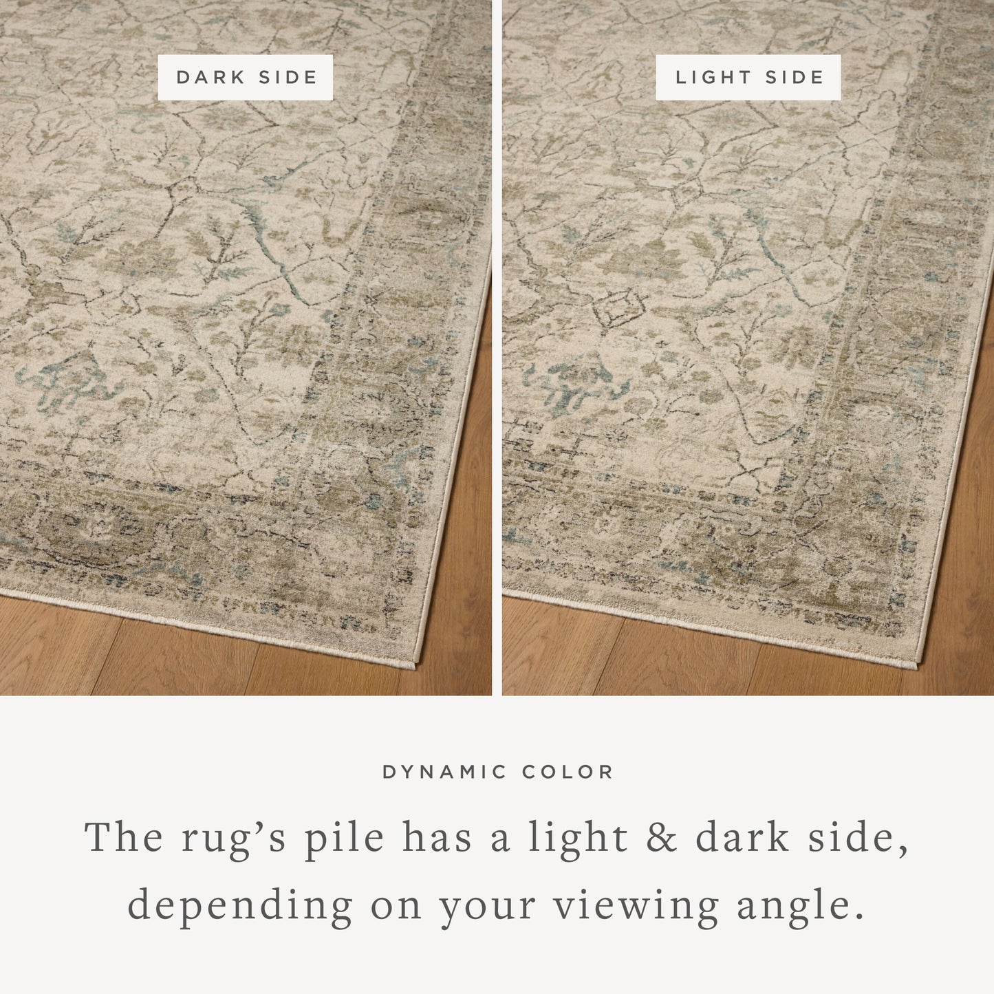 Briar 02 Ivory/Sage Rug - Chapin Furniture