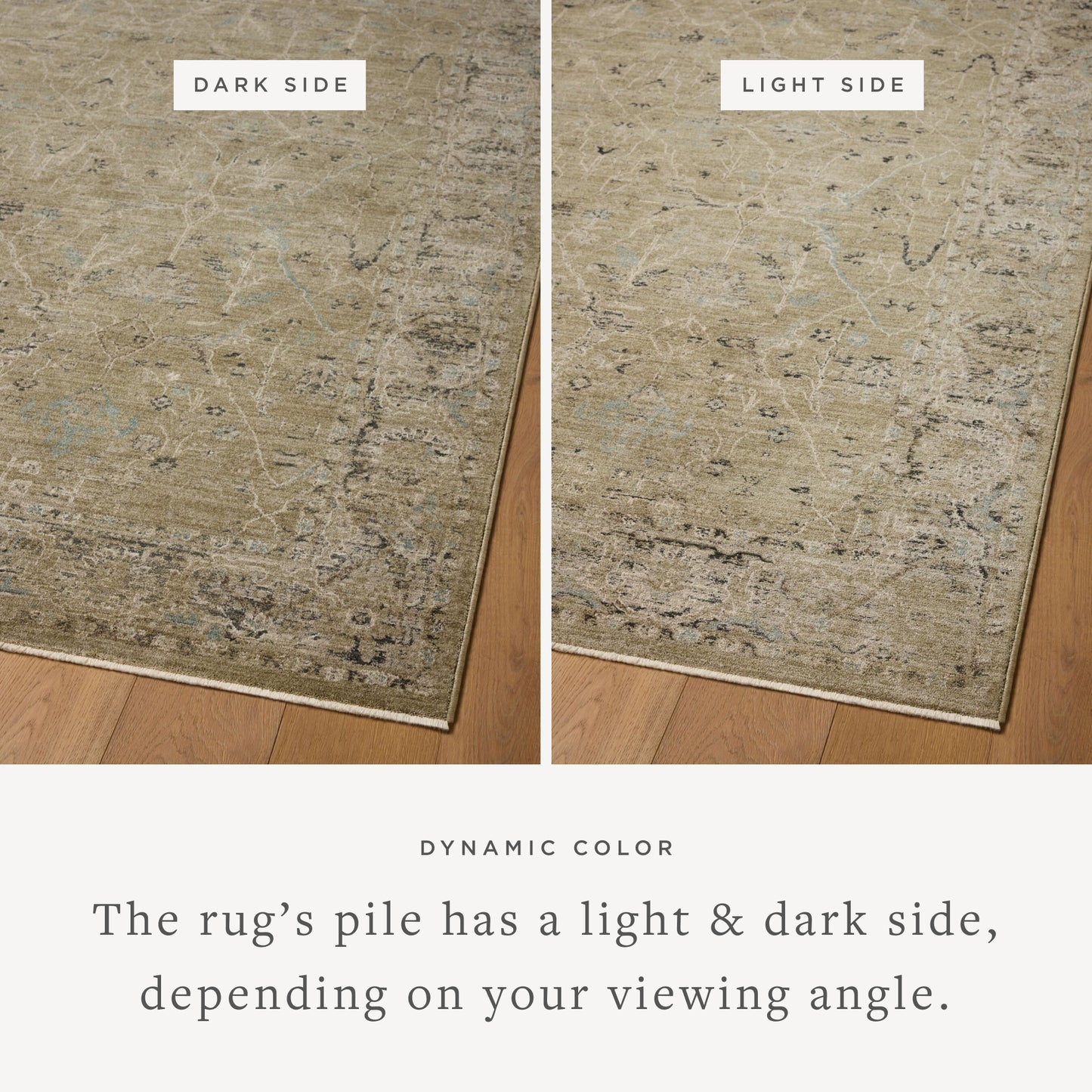 Briar 02 Olive/Stone Rug - Chapin Furniture