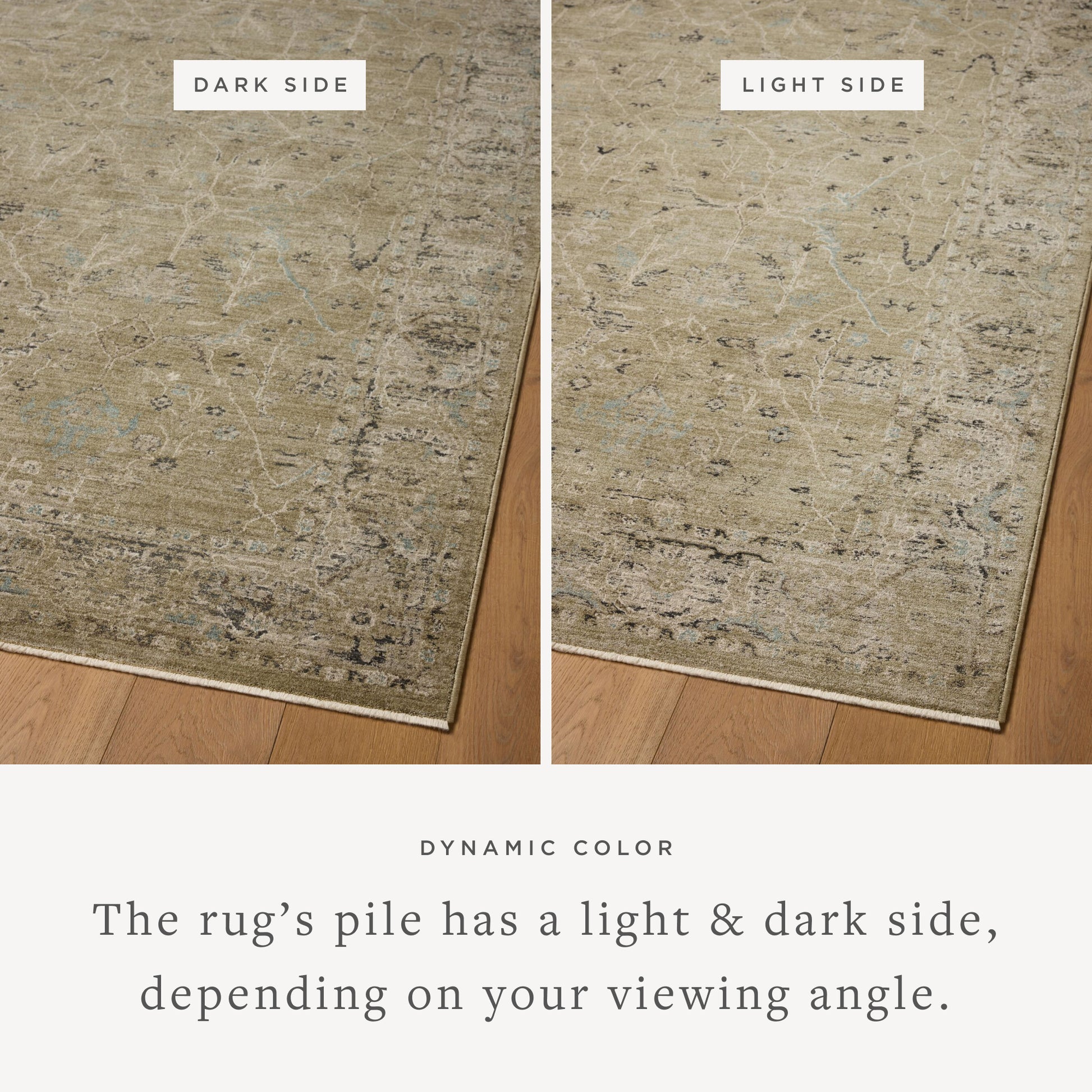 Briar 02 Olive/Stone Rug - Chapin Furniture