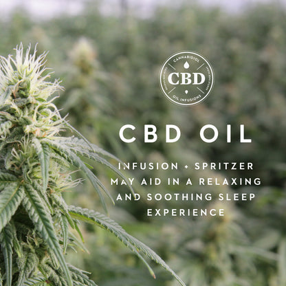 Shoulder Zoned Dough + CBD Oil PIllow - Chapin Furniture