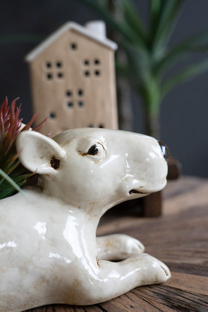 Ceramic Bull Terrier Planter - Chapin Furniture