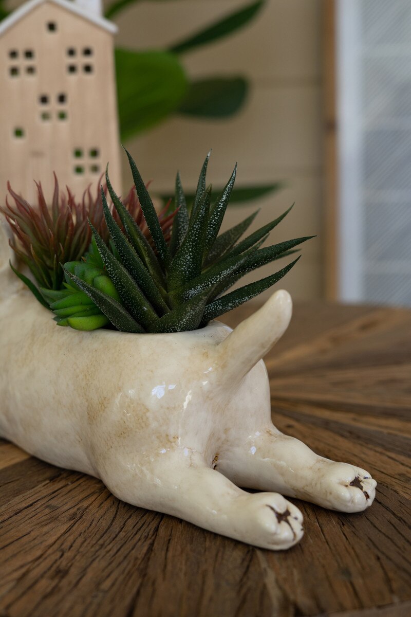 Ceramic Bull Terrier Planter - Chapin Furniture