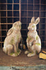 Faux Concrete Rabbit with Head Up - Chapin Furniture