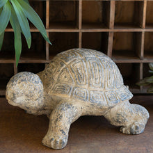 Faux Concrete Turtle - Chapin Furniture