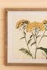 Set of 4 Framed Flower Prints Under Glass - Chapin Furniture