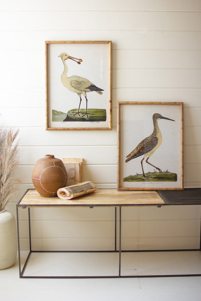 Set of 2 Framed Shorebirds Under Glass - Chapin Furniture