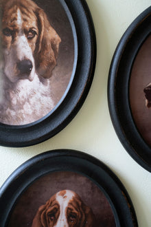 Set of 4 Framed Oval Hound Prints under Glass - Chapin Furniture